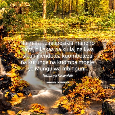 Picture 05 - Nehemia 1:4 SWHULB - Na mara tu niliposikia maneno haya, nikakaa na - Bible Verse Picture