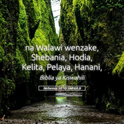 Picture 05 - Nehemia 10:10 SWHULB - na Walawi wenzake, Shebania, Hodia, Kelita, - Bible Verse Picture