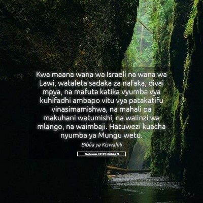Picture 05 - Nehemia 10:39 SWHULB - Kwa maana wana wa Israeli na wana wa Lawi, - Bible Verse Picture