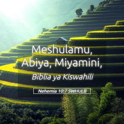 Picture 05 - Nehemia 10:7 SWHULB - Meshulamu, Abiya, - Bible Verse Picture