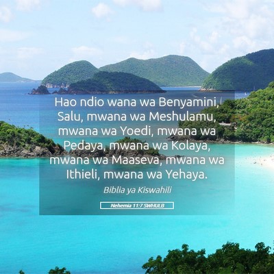 Picture 05 - Nehemia 11:7 SWHULB - Hao ndio wana wa Benyamini, Salu, mwana wa - Bible Verse Picture
