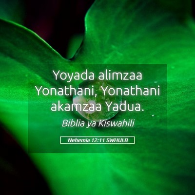 Picture 05 - Nehemia 12:11 SWHULB - Yoyada alimzaa Yonathani, Yonathani akamzaa - Bible Verse Picture