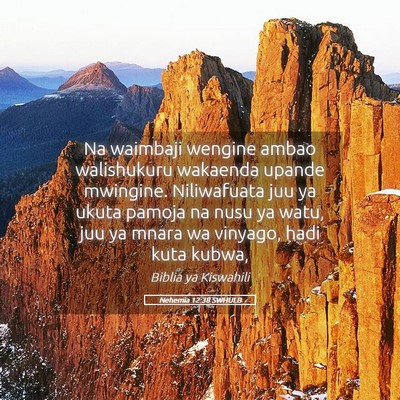 Picture 05 - Nehemia 12:38 SWHULB - Na waimbaji wengine ambao walishukuru wakaenda - Bible Verse Picture