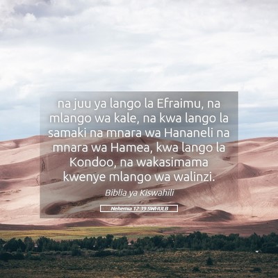 Picture 05 - Nehemia 12:39 SWHULB - na juu ya lango la Efraimu, na mlango wa kale, na - Bible Verse Picture