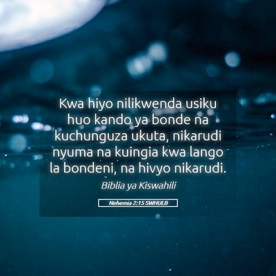 Picture 05 - Nehemia 2:15 SWHULB - Kwa hiyo nilikwenda usiku huo kando ya bonde na - Bible Verse Picture