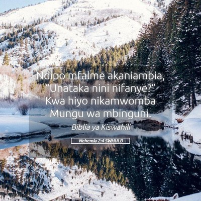 Picture 05 - Nehemia 2:4 SWHULB - Ndipo mfalme akaniambia, “Unataka nini - Bible Verse Picture