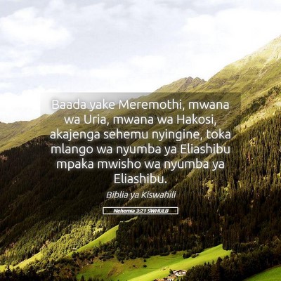Picture 05 - Nehemia 3:21 SWHULB - Baada yake Meremothi, mwana wa Uria, mwana wa - Bible Verse Picture