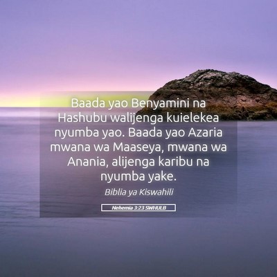 Picture 05 - Nehemia 3:23 SWHULB - Baada yao Benyamini na Hashubu walijenga - Bible Verse Picture