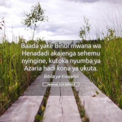 Picture 05 - Nehemia 3:24 SWHULB - Baada yake Binui mwana wa Henadadi akajenga - Bible Verse Picture