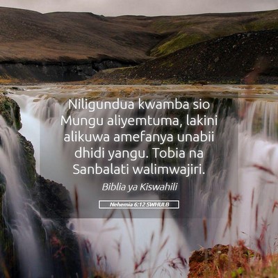 Picture 05 - Nehemia 6:12 SWHULB - Niligundua kwamba sio Mungu aliyemtuma, lakini - Bible Verse Picture