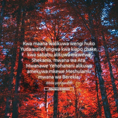 Picture 05 - Nehemia 6:18 SWHULB - Kwa maana walikuwa wengi huko Yuda waliofungwa - Bible Verse Picture
