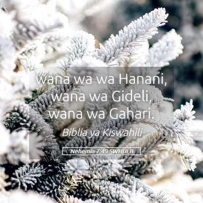 Picture 05 - Nehemia 7:49 SWHULB - wana wa wa Hanani, wana wa Gideli, wana wa - Bible Verse Picture