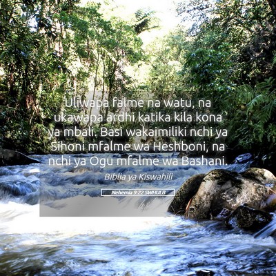 Picture 05 - Nehemia 9:22 SWHULB - Uliwapa falme na watu, na ukawapa ardhi katika - Bible Verse Picture