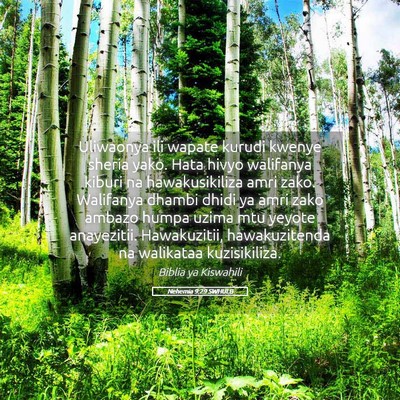 Picture 05 - Nehemia 9:29 SWHULB - Uliwaonya ili wapate kurudi kwenye sheria yako. - Bible Verse Picture
