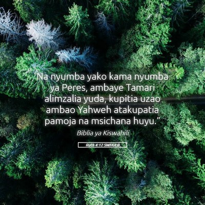 Picture 05 - Ruth 4:12 SWHULB - Na nyumba yako kama nyumba ya Peres, ambaye - Bible Verse Picture