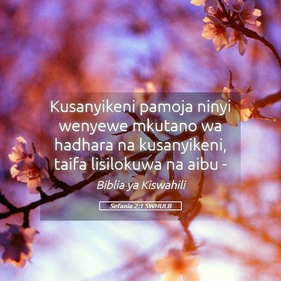 Picture 05 - Sefania 2:1 SWHULB - Kusanyikeni pamoja ninyi wenyewe mkutano wa - Bible Verse Picture