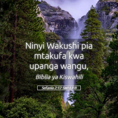 Picture 05 - Sefania 2:12 SWHULB - Ninyi Wakushi pia mtakufa kwa upanga - Bible Verse Picture