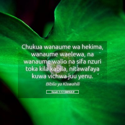 Picture 05 - Torati 1:13 SWHULB - Chukua wanaume wa hekima, wanaume waelewa, na - Bible Verse Picture