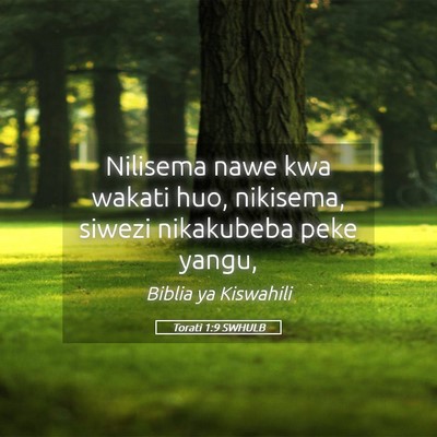 Picture 05 - Torati 1:9 SWHULB - Nilisema nawe kwa wakati huo, nikisema, siwezi - Bible Verse Picture