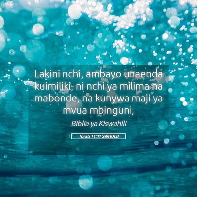 Picture 05 - Torati 11:11 SWHULB - Lakini nchi, ambayo unaenda kuimiliki, ni nchi ya - Bible Verse Picture