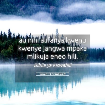 Picture 05 - Torati 11:5 SWHULB - au nini alifanya kwenu kwenye jangwa mpaka - Bible Verse Picture