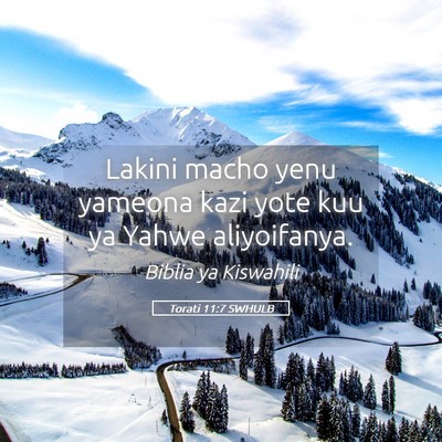 Picture 05 - Torati 11:7 SWHULB - Lakini macho yenu yameona kazi yote kuu ya Yahwe - Bible Verse Picture