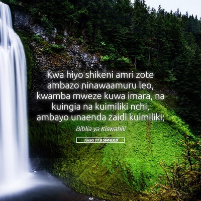 Picture 05 - Torati 11:8 SWHULB - Kwa hiyo shikeni amri zote ambazo ninawaamuru - Bible Verse Picture