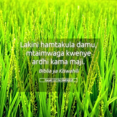 Picture 05 - Torati 12:16 SWHULB - Lakini hamtakula damu, mtaimwaga kwenye ardhi - Bible Verse Picture