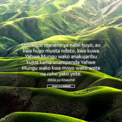 Picture 05 - Torati 13:3 SWHULB - Usisikilize maneno ya nabii huyo, au kwa huyo - Bible Verse Picture