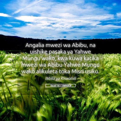 Picture 05 - Torati 16:1 SWHULB - Angalia mwezi wa Abibu, na uishike pasaka ya - Bible Verse Picture