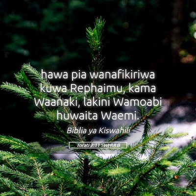 Picture 05 - Torati 2:11 SWHULB - hawa pia wanafikiriwa kuwa Rephaimu, kama - Bible Verse Picture