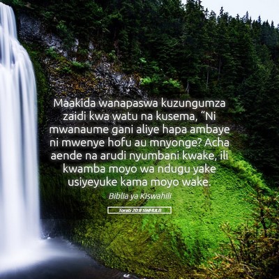 Picture 05 - Torati 20:8 SWHULB - Maakida wanapaswa kuzungumza zaidi kwa watu na - Bible Verse Picture