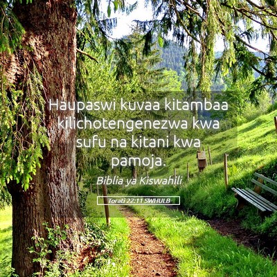 Picture 05 - Torati 22:11 SWHULB - Haupaswi kuvaa kitambaa kilichotengenezwa kwa - Bible Verse Picture