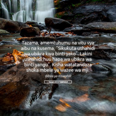 Picture 05 - Torati 22:17 SWHULB - Tazama, amemtuhumu na vitu vya aibu na kusema, - Bible Verse Picture