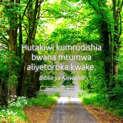 Picture 05 - Torati 23:15 SWHULB - Hutakiwi kumrudishia bwana mtumwa aliyetoroka - Bible Verse Picture