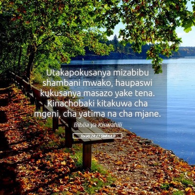 Picture 05 - Torati 24:21 SWHULB - Utakapokusanya mizabibu shambani mwako, haupaswi - Bible Verse Picture