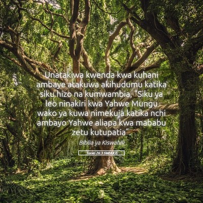 Picture 05 - Torati 26:3 SWHULB - Unatakiwa kwenda kwa kuhani ambaye atakuwa - Bible Verse Picture