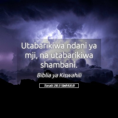 Picture 05 - Torati 28:3 SWHULB - Utabarikiwa ndani ya mji, na utabarikiwa - Bible Verse Picture
