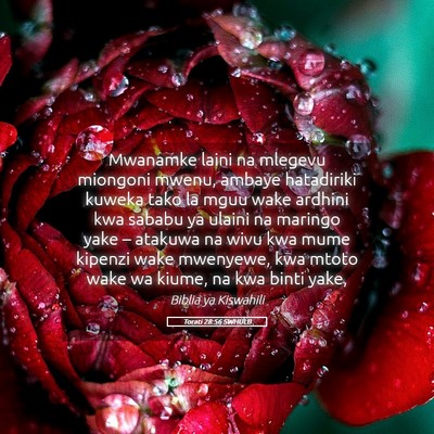 Picture 05 - Torati 28:56 SWHULB - Mwanamke laini na mlegevu miongoni mwenu, ambaye - Bible Verse Picture
