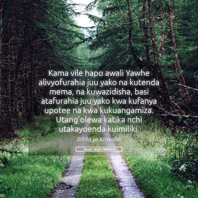 Picture 05 - Torati 28:63 SWHULB - Kama vile hapo awali Yawhe alivyofurahia juu yako - Bible Verse Picture