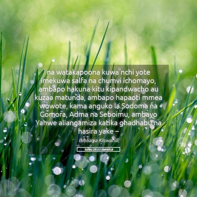 Picture 05 - Torati 29:23 SWHULB - na watakapoona kuwa nchi yote imekuwa salfa na - Bible Verse Picture
