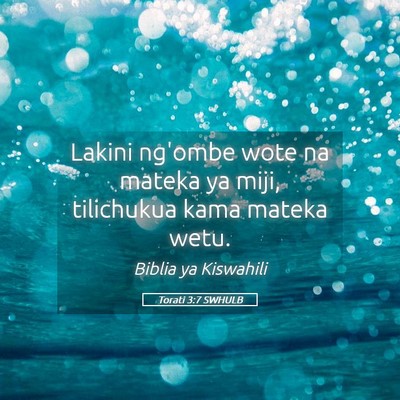 Picture 05 - Torati 3:7 SWHULB - Lakini ng'ombe wote na mateka ya miji, tilichukua - Bible Verse Picture