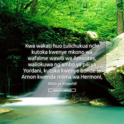 Picture 05 - Torati 3:8 SWHULB - Kwa wakati huo tulichukua nchi kutoka kwenye - Bible Verse Picture