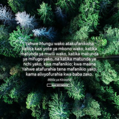 Picture 05 - Torati 30:9 SWHULB - Yahwe Mungu wako atakufanikisha katika kazi yote - Bible Verse Picture