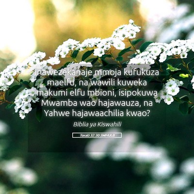 Picture 05 - Torati 32:30 SWHULB - Inawezekanaje mmoja kufukuza maelfu, na wawili - Bible Verse Picture