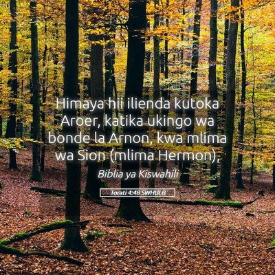 Picture 05 - Torati 4:48 SWHULB - Himaya hii ilienda kutoka Aroer, katika ukingo wa - Bible Verse Picture