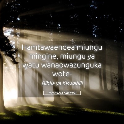 Picture 05 - Torati 6:14 SWHULB - Hamtawaendea miungu mingine, miungu ya watu - Bible Verse Picture