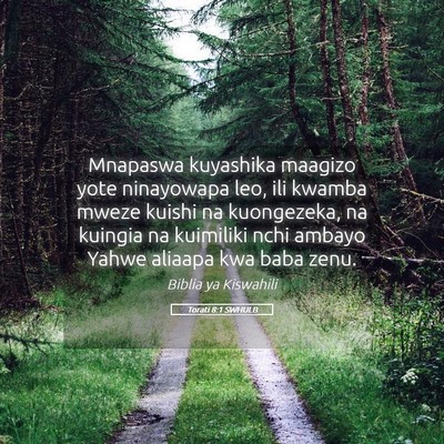 Picture 05 - Torati 8:1 SWHULB - Mnapaswa kuyashika maagizo yote ninayowapa leo, - Bible Verse Picture