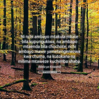 Picture 05 - Torati 8:9 SWHULB - Ni nchi ambayo mtakula mkate bila kupungukiwa, na - Bible Verse Picture