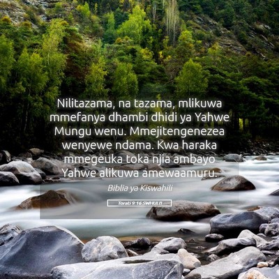 Picture 05 - Torati 9:16 SWHULB - Nilitazama, na tazama, mlikuwa mmefanya dhambi - Bible Verse Picture